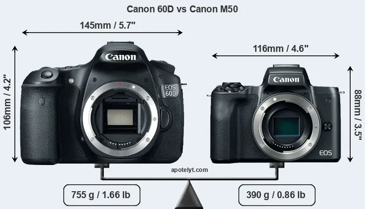 Size Canon 60D vs Canon M50