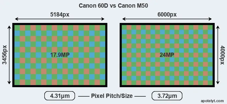 60D versus M50 MP