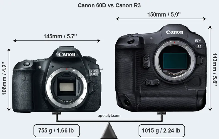 Size Canon 60D vs Canon R3