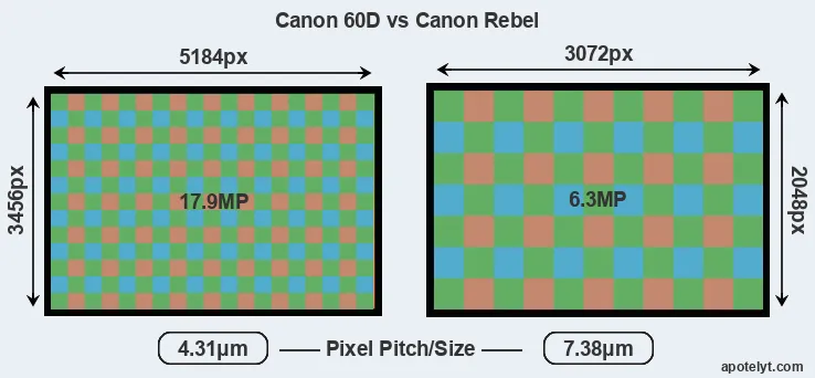60D versus Rebel MP