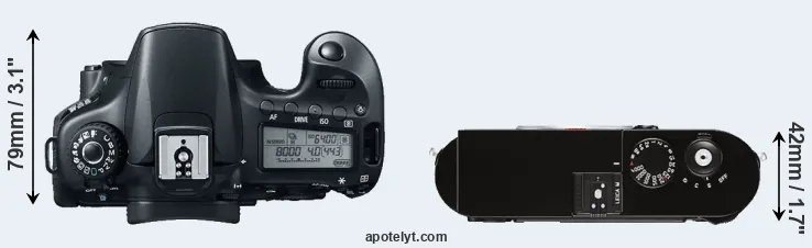 Compare 60D versus M Typ 262 top