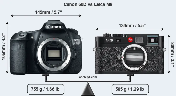 Size Canon 60D vs Leica M9