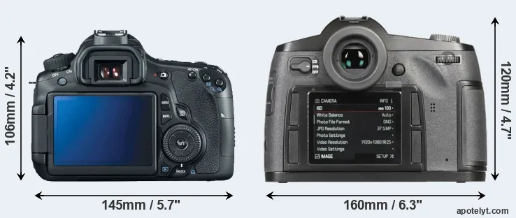 Comparison 60D or S-E Typ 006 rear