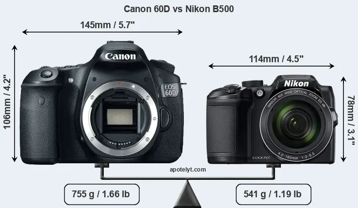 Size Canon 60D vs Nikon B500