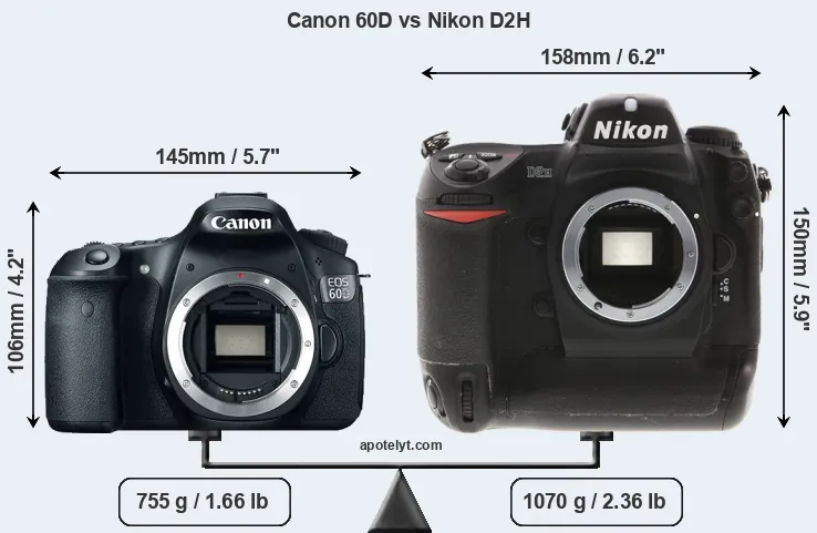 Size Canon 60D vs Nikon D2H
