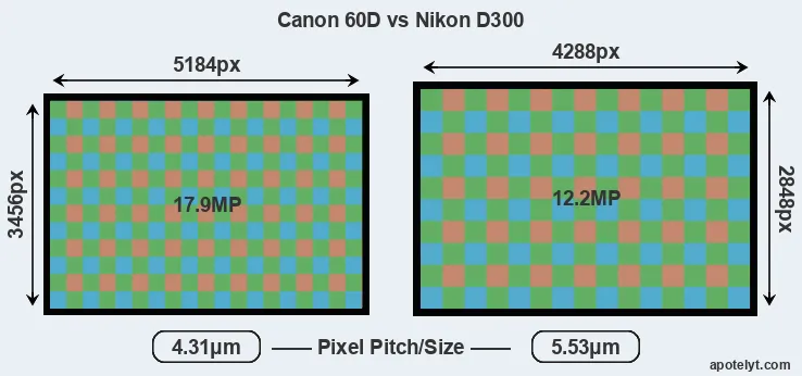 60D versus D300 MP