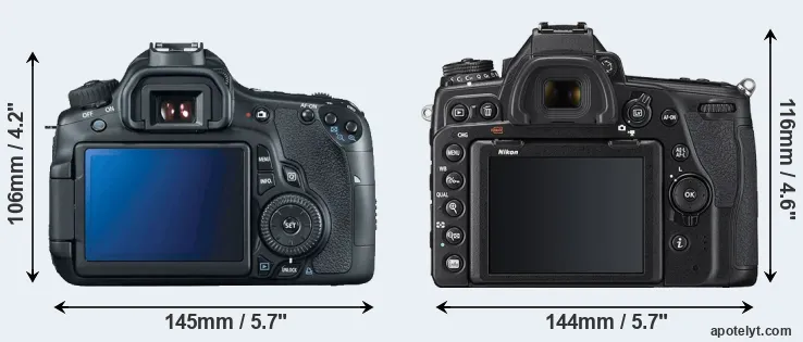Comparison 60D or D780 rear