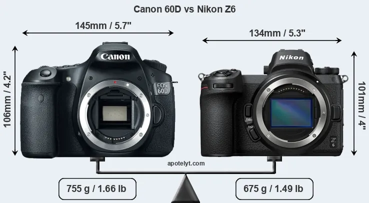 Size Canon 60D vs Nikon Z6