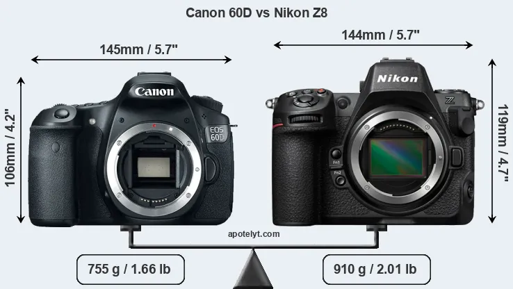 Size Canon 60D vs Nikon Z8