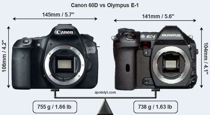 Size Canon 60D vs Olympus E-1