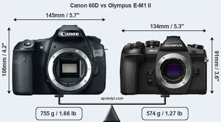 Size Canon 60D vs Olympus E-M1 II