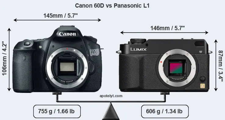 Size Canon 60D vs Panasonic L1