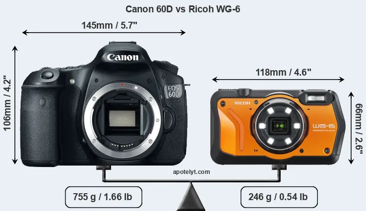 Size Canon 60D vs Ricoh WG-6