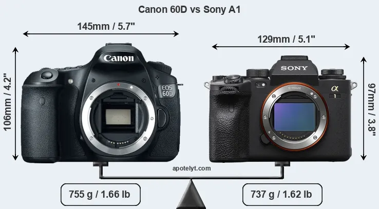 Size Canon 60D vs Sony A1