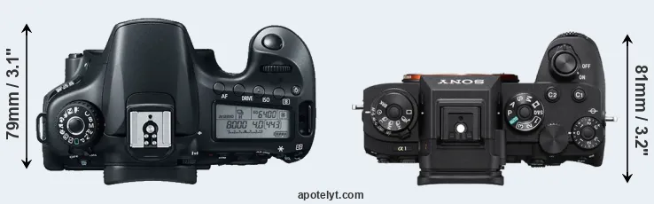 Compare 60D versus A1 top