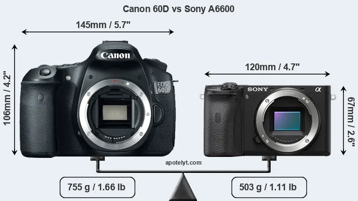 Size Canon 60D vs Sony A6600