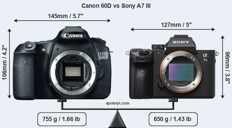 Size Canon 60D vs Sony A7 III