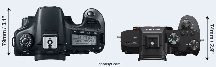 Compare 60D versus A7 III top
