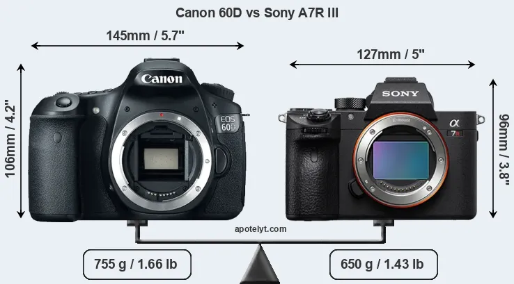 Size Canon 60D vs Sony A7R III