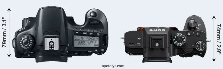 Compare 60D versus A7R III top