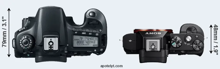 Compare 60D versus A7R top