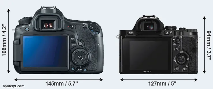 Comparison 60D or A7S rear