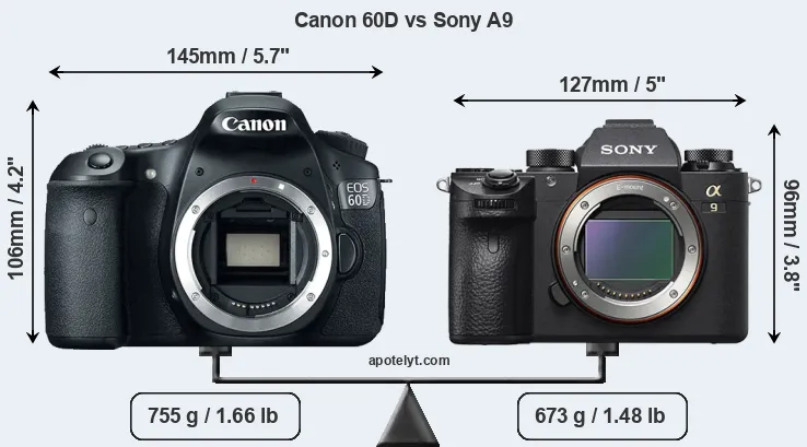 Size Canon 60D vs Sony A9