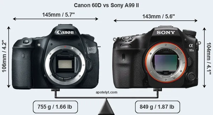 Size Canon 60D vs Sony A99 II