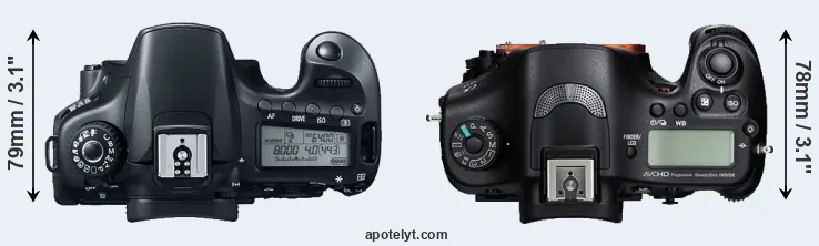 Compare 60D versus A99 top