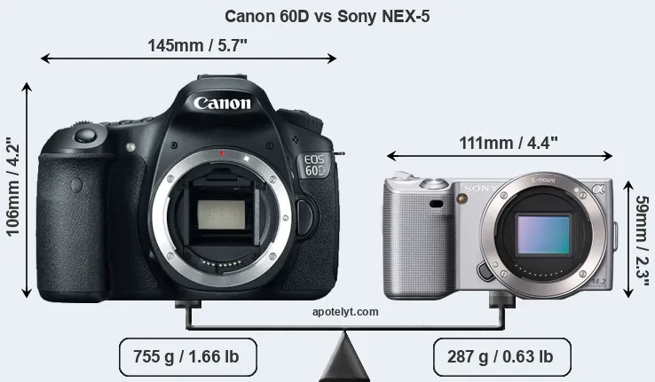 Size Canon 60D vs Sony NEX-5