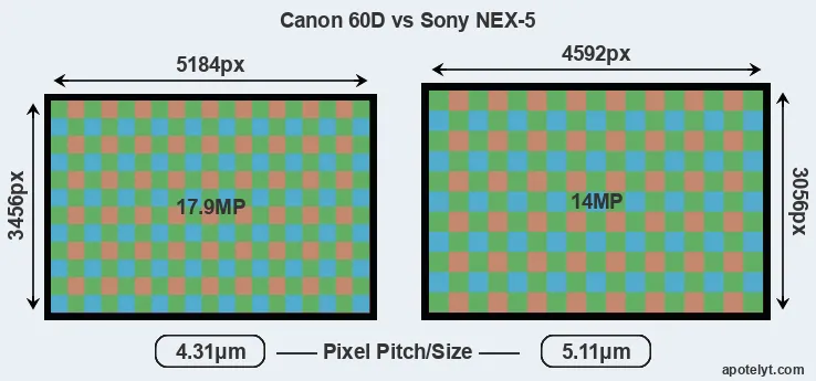 60D versus NEX-5 MP
