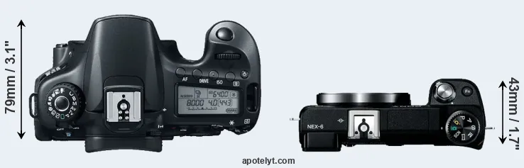 Compare 60D versus NEX-6 top