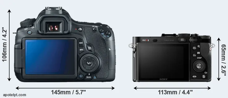 Comparison 60D or RX1R II rear