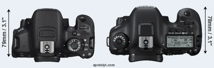 Compare 650D versus 7D Mark II top