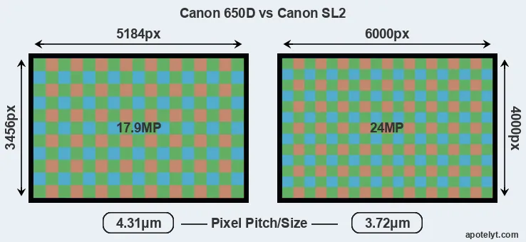 650D versus SL2 MP