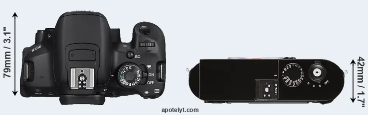 Compare 650D versus M Typ 262 top