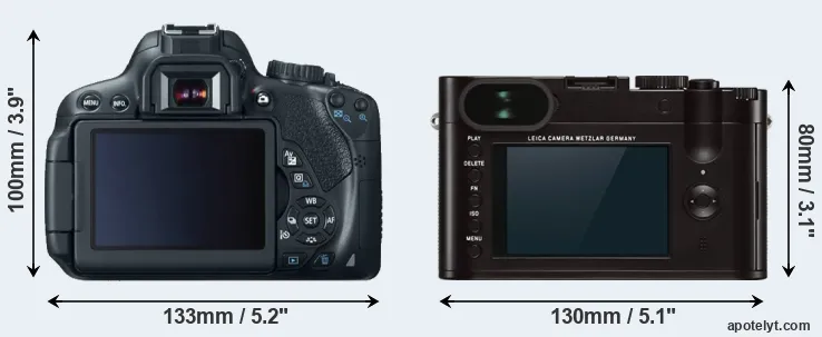 Comparison 650D or Q Typ 116 rear