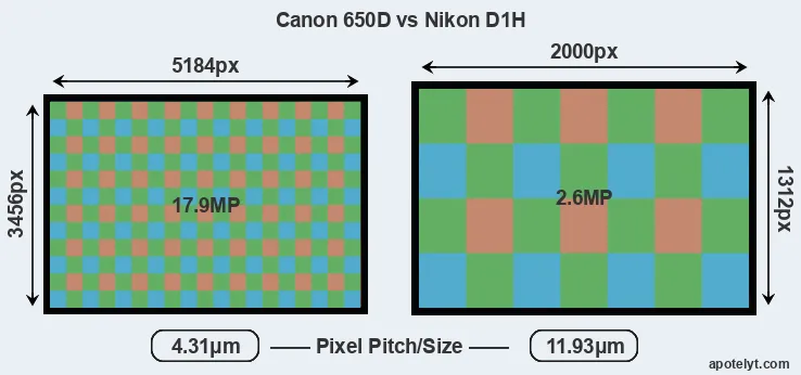 650D versus D1H MP