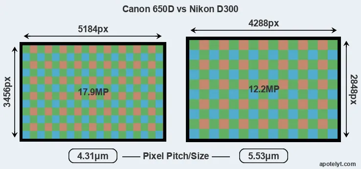 650D versus D300 MP