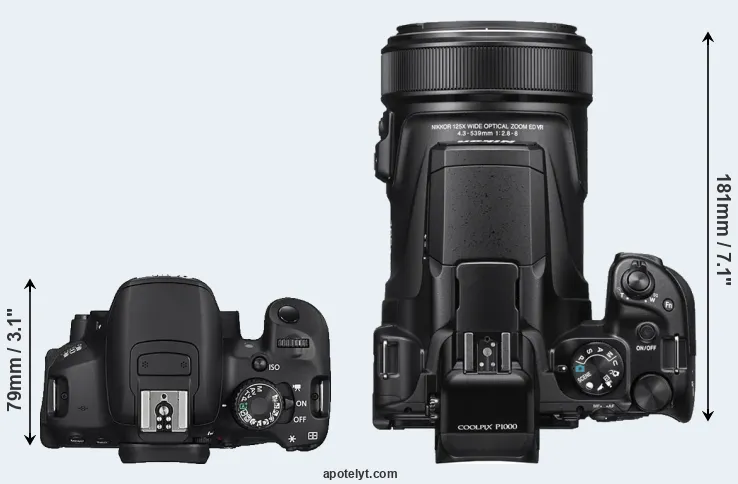 Compare 650D versus P1000 top