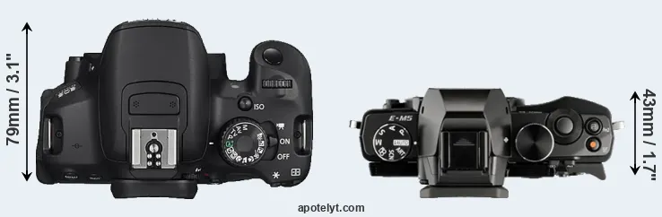 Compare 650D versus E-M5 top