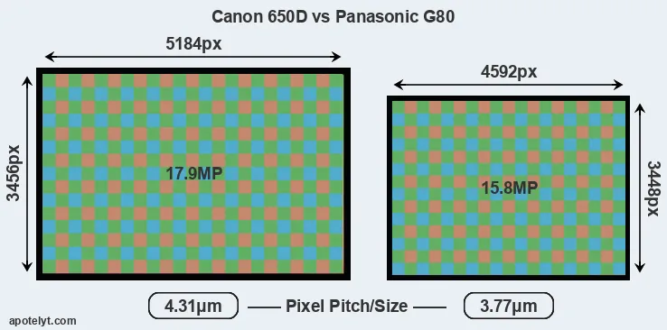 650D versus G80 MP