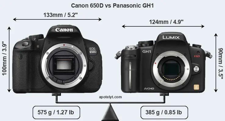 Size Canon 650D vs Panasonic GH1