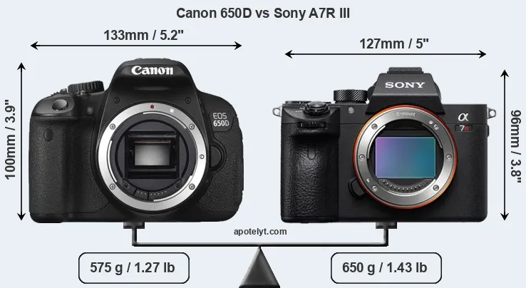 Size Canon 650D vs Sony A7R III