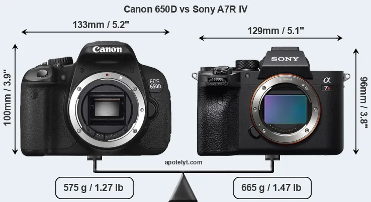Size Canon 650D vs Sony A7R IV