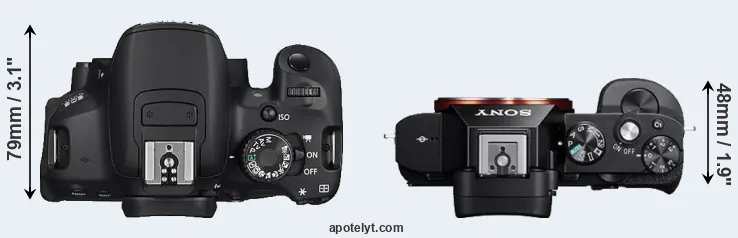 Compare 650D versus A7R top
