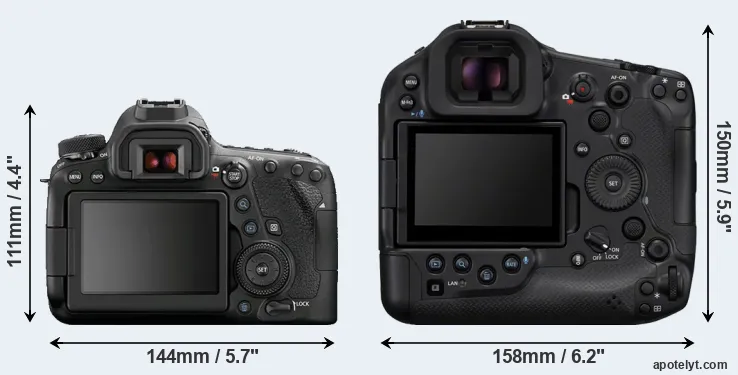 Comparison 6D Mark II or R1 rear
