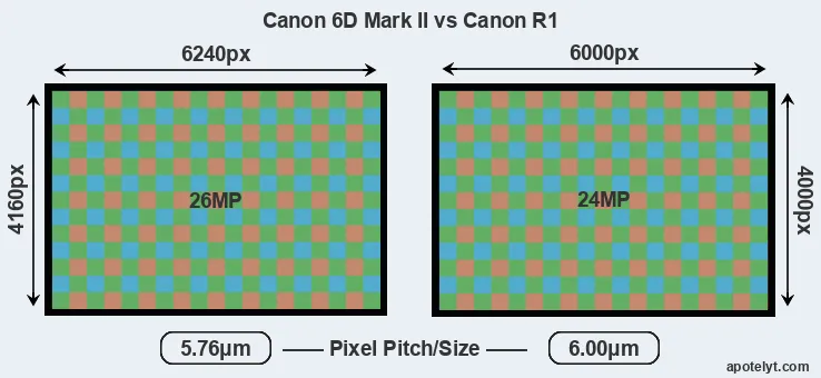 6D Mark II versus R1 MP