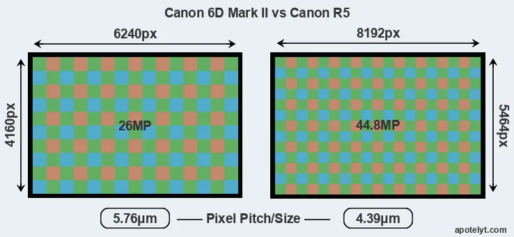 6D Mark II versus R5 MP