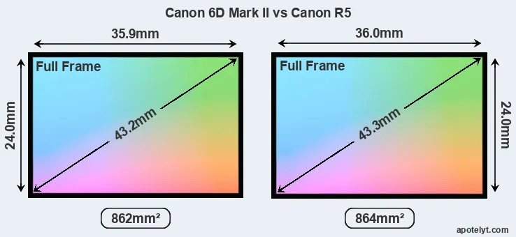 Canon 6D Mark II and Canon R5 sensor measures